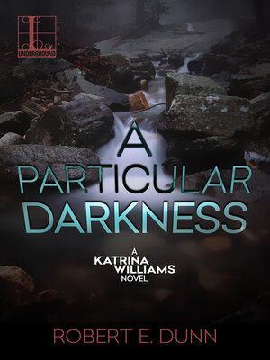 cover image of A Particular Darkness